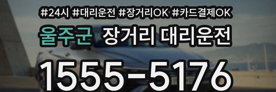 울주군 장거리 대리운전
