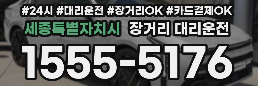세종특별자치시 장거리 대리운전