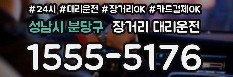 성남시 분당구 장거리 대리운전
