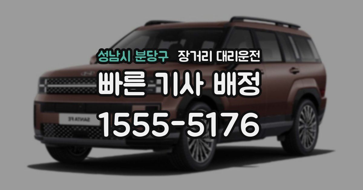 성남시 분당구 장거리 대리운전