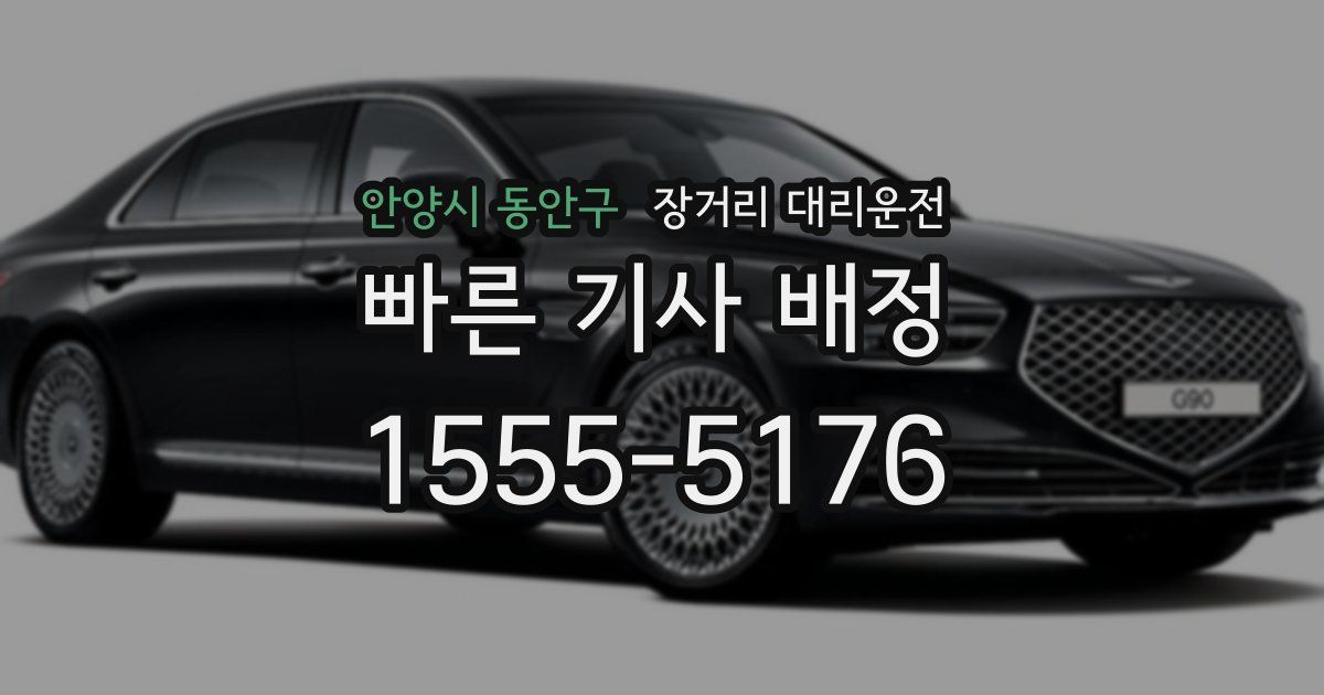 안양시 동안구 장거리 대리운전