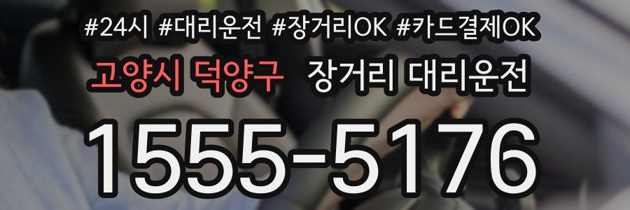 고양시 덕양구 장거리 대리운전