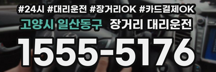 고양시 일산동구 장거리 대리운전