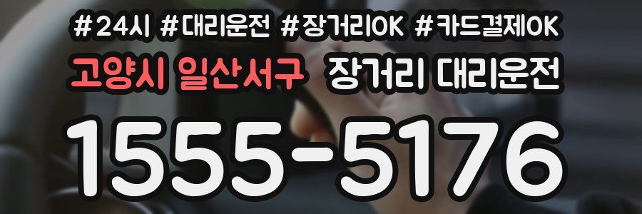 고양시 일산서구 장거리 대리운전