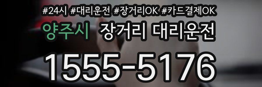 양주시 장거리 대리운전