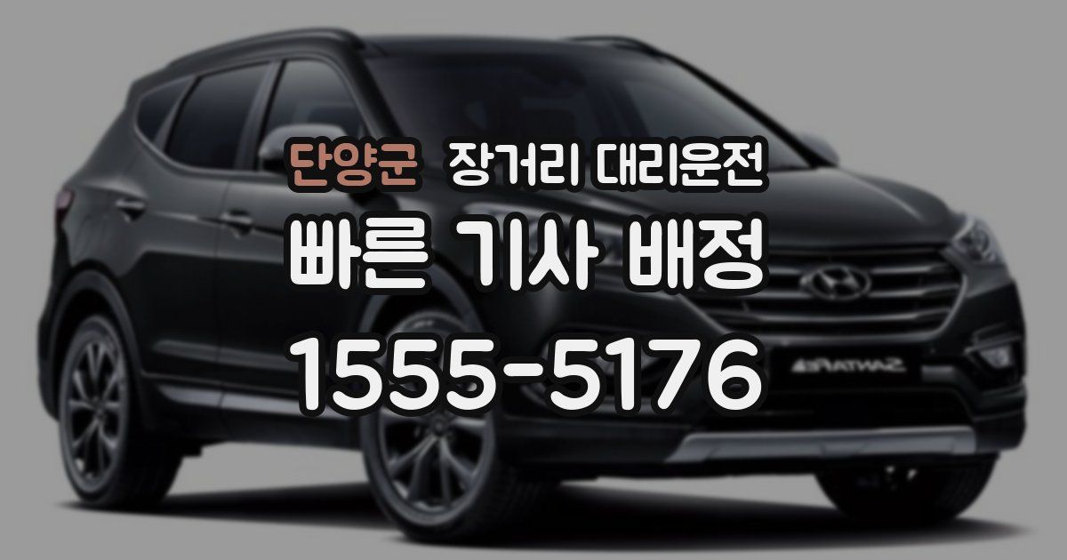 단양군 장거리 대리운전