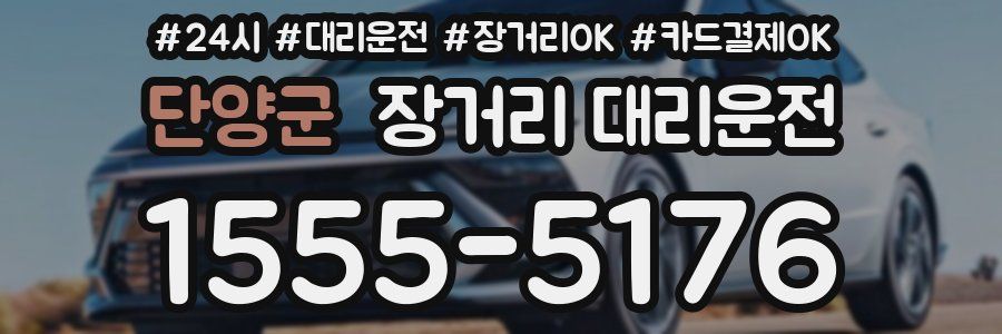 단양군 장거리 대리운전