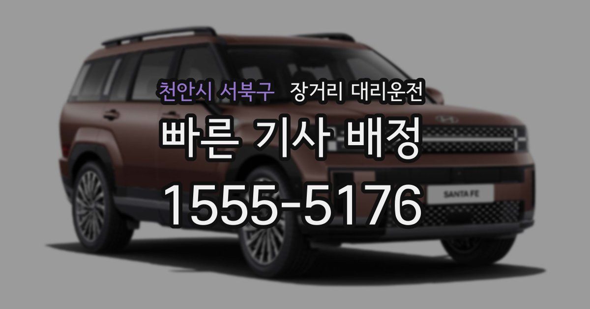천안시 서북구 장거리 대리운전