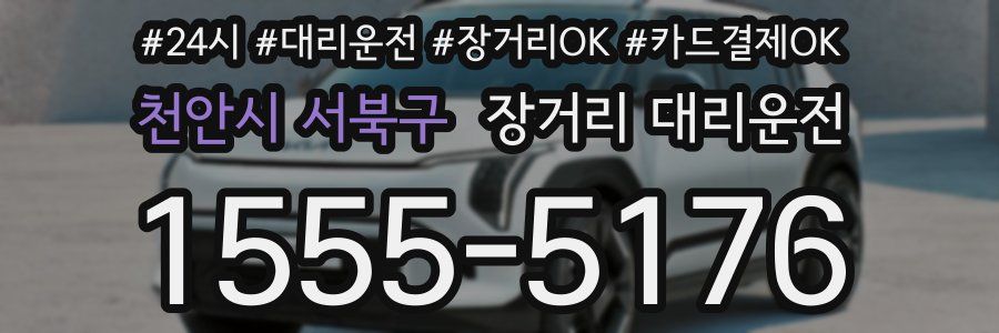 천안시 서북구 장거리 대리운전