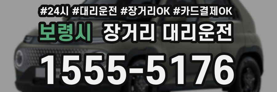 보령시 장거리 대리운전