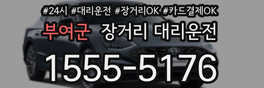 부여군 장거리 대리운전