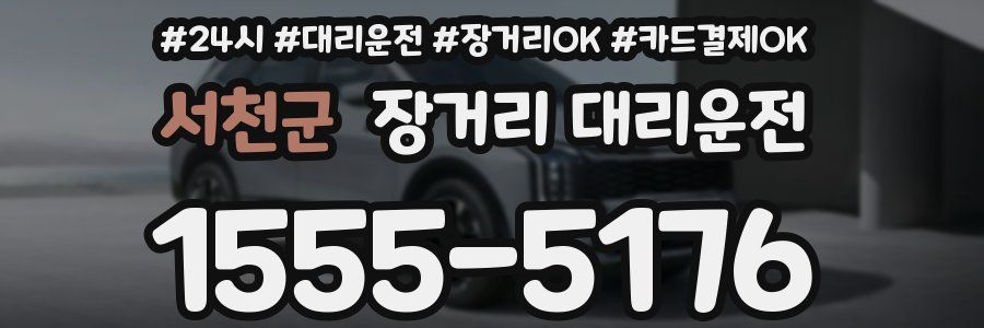 서천군 장거리 대리운전