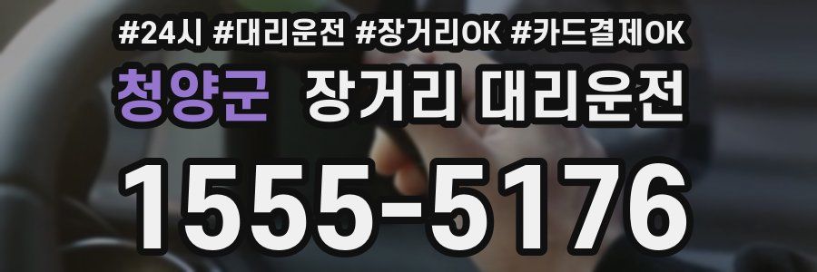 청양군 장거리 대리운전
