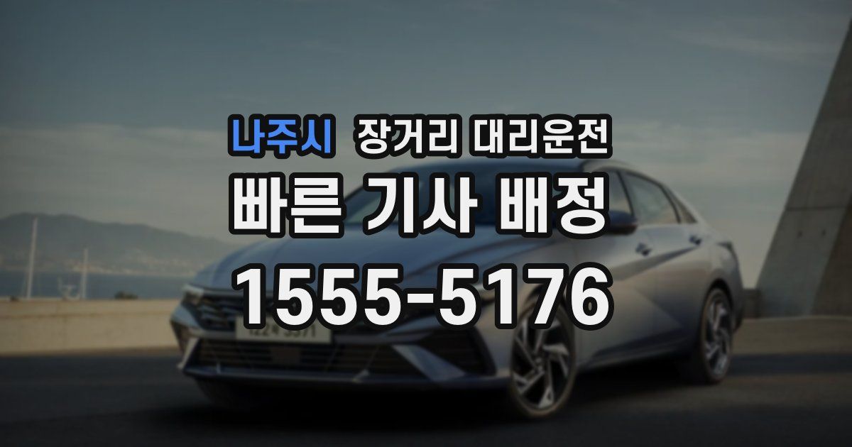 나주시 장거리 대리운전