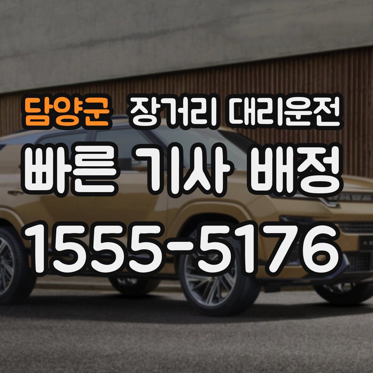 담양군 장거리 대리운전