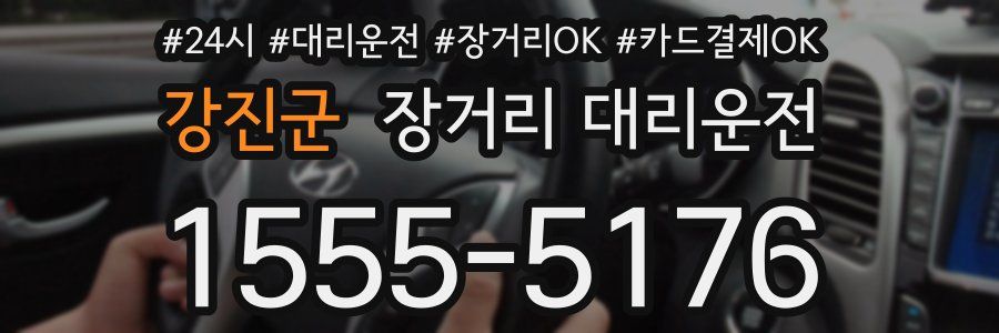강진군 장거리 대리운전