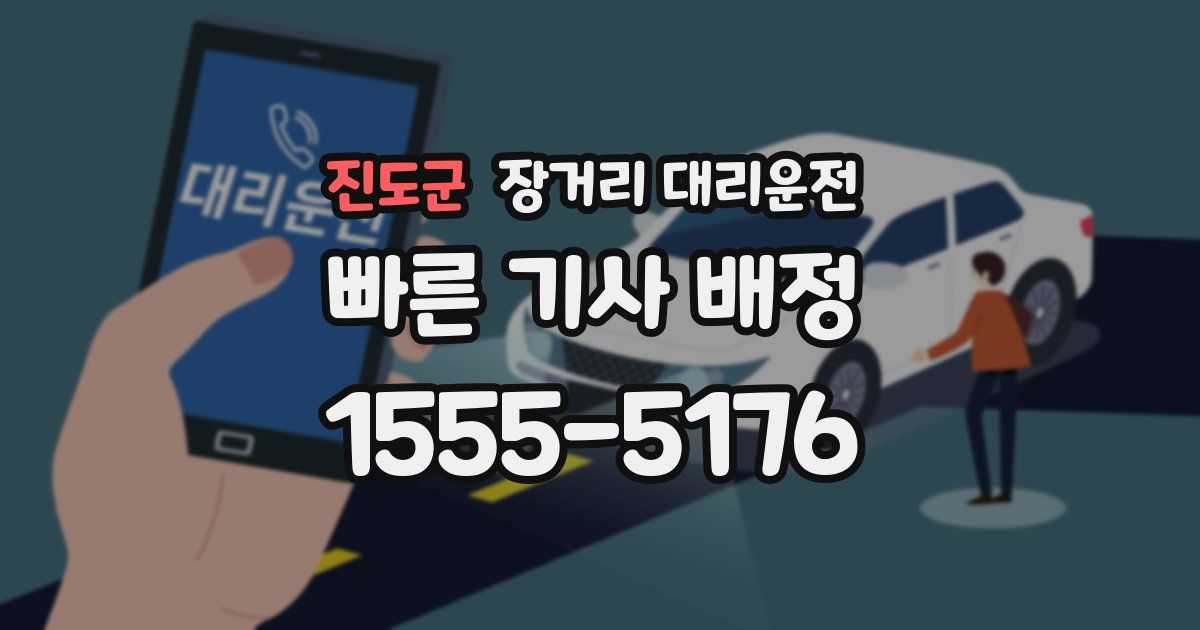 진도군 장거리 대리운전