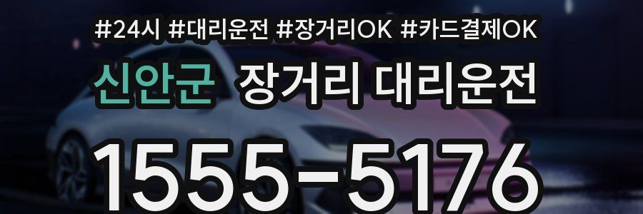 신안군 장거리 대리운전