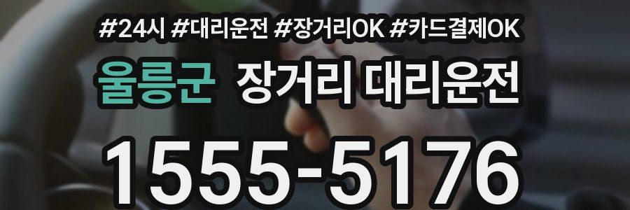 울릉군 장거리 대리운전