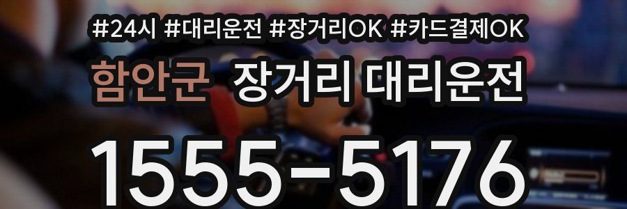 함안군 장거리 대리운전