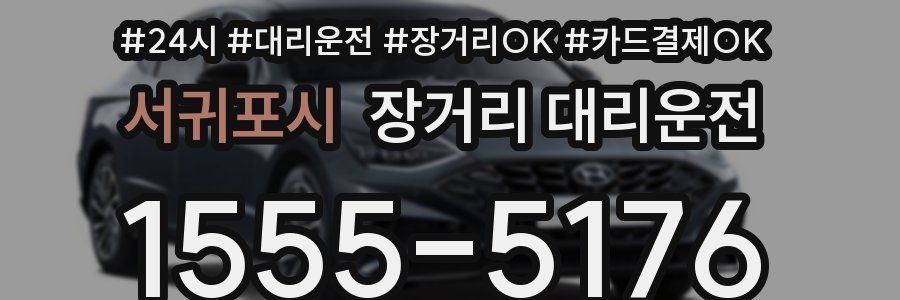 서귀포시 장거리 대리운전