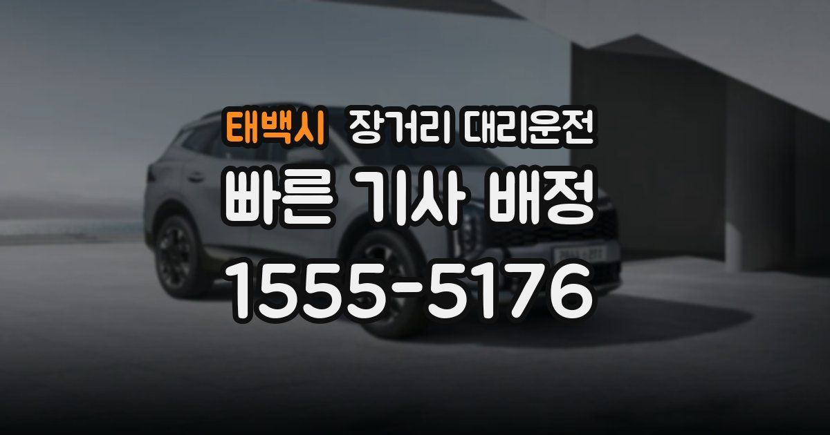 태백시 장거리 대리운전