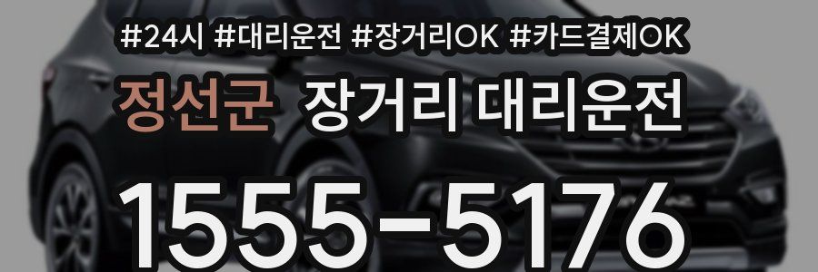 정선군 장거리 대리운전