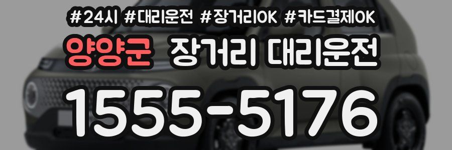 양양군 장거리 대리운전