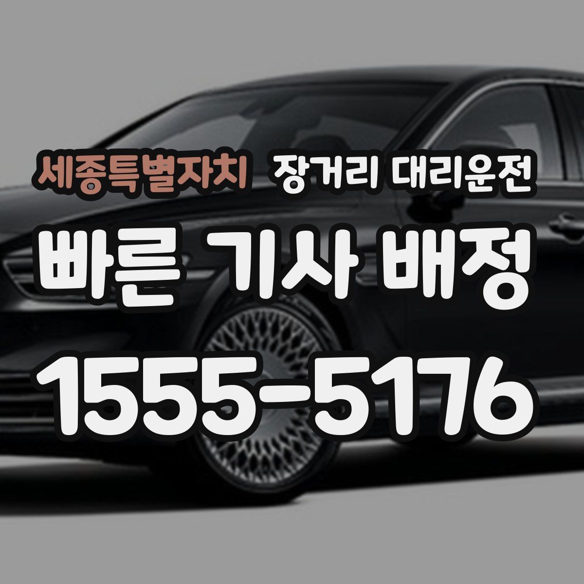 세종특별자치 장거리 대리운전