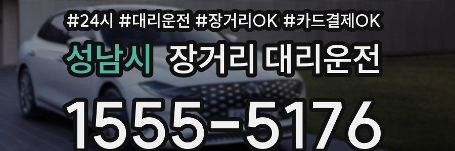 성남시 장거리 대리운전