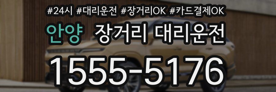 안양 장거리 대리운전