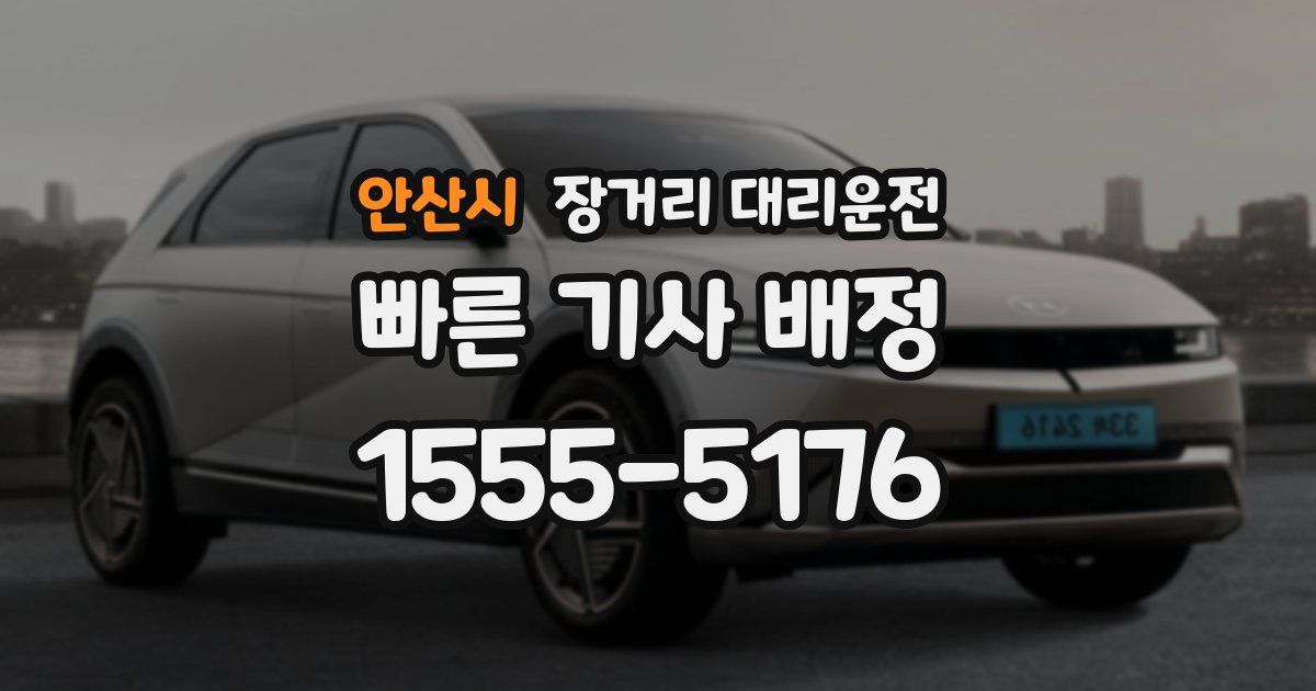 안산시 장거리 대리운전