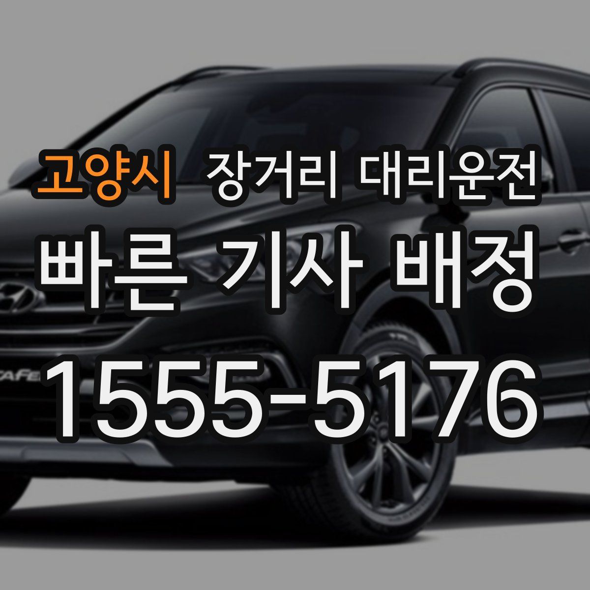 고양시 장거리 대리운전