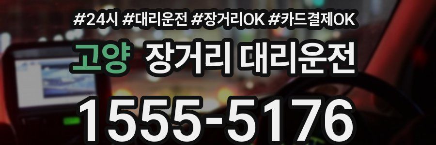 고양 장거리 대리운전