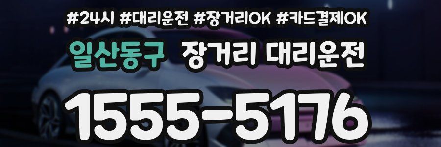 일산동구 장거리 대리운전