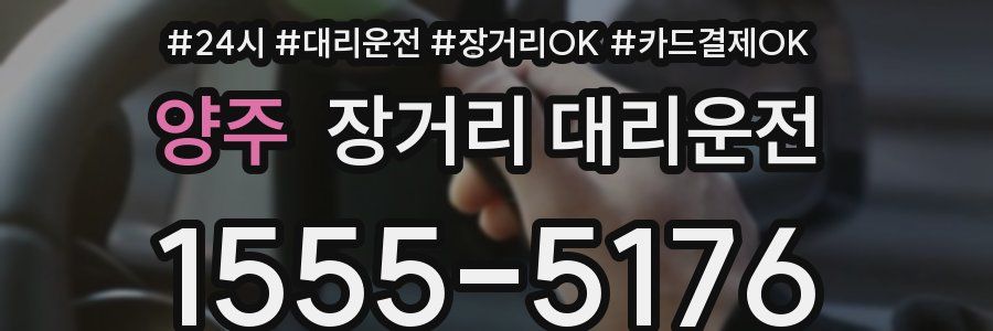 양주 장거리 대리운전