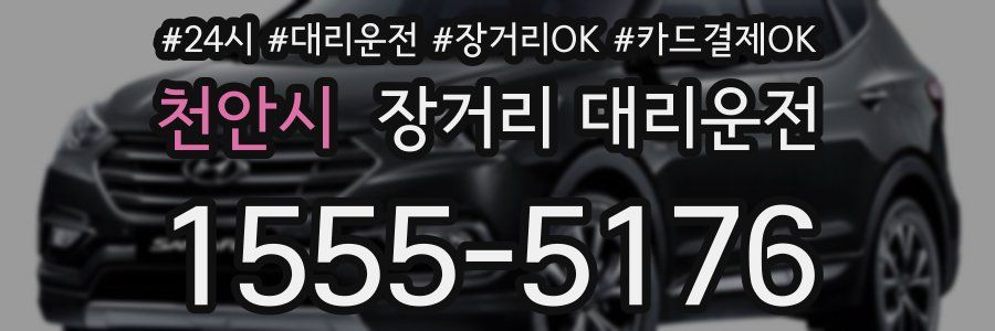 천안시 장거리 대리운전
