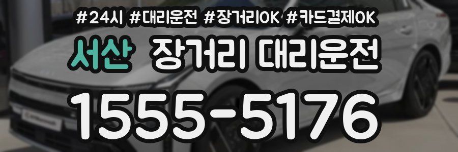 서산 장거리 대리운전
