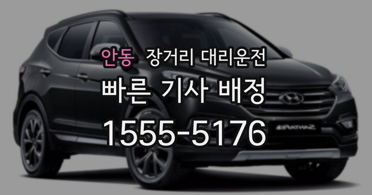 안동 장거리 대리운전