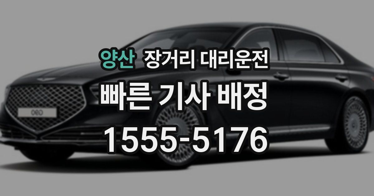 양산 장거리 대리운전