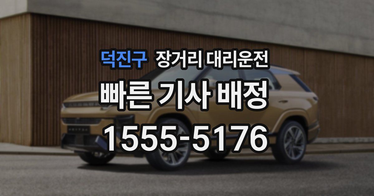 덕진구 장거리 대리운전