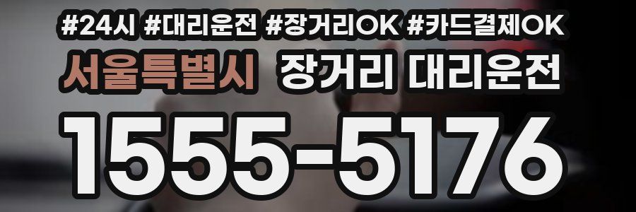 서울특별시 장거리 대리운전