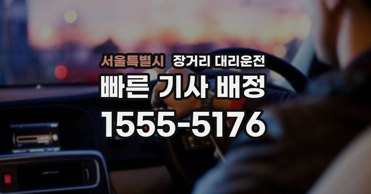 서울특별시 장거리 대리운전