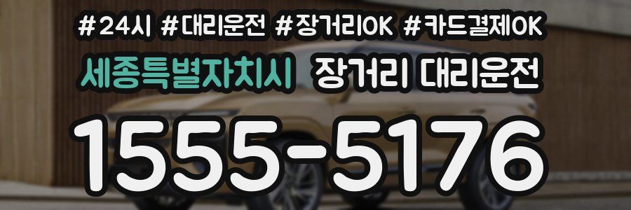 세종특별자치시 장거리 대리운전