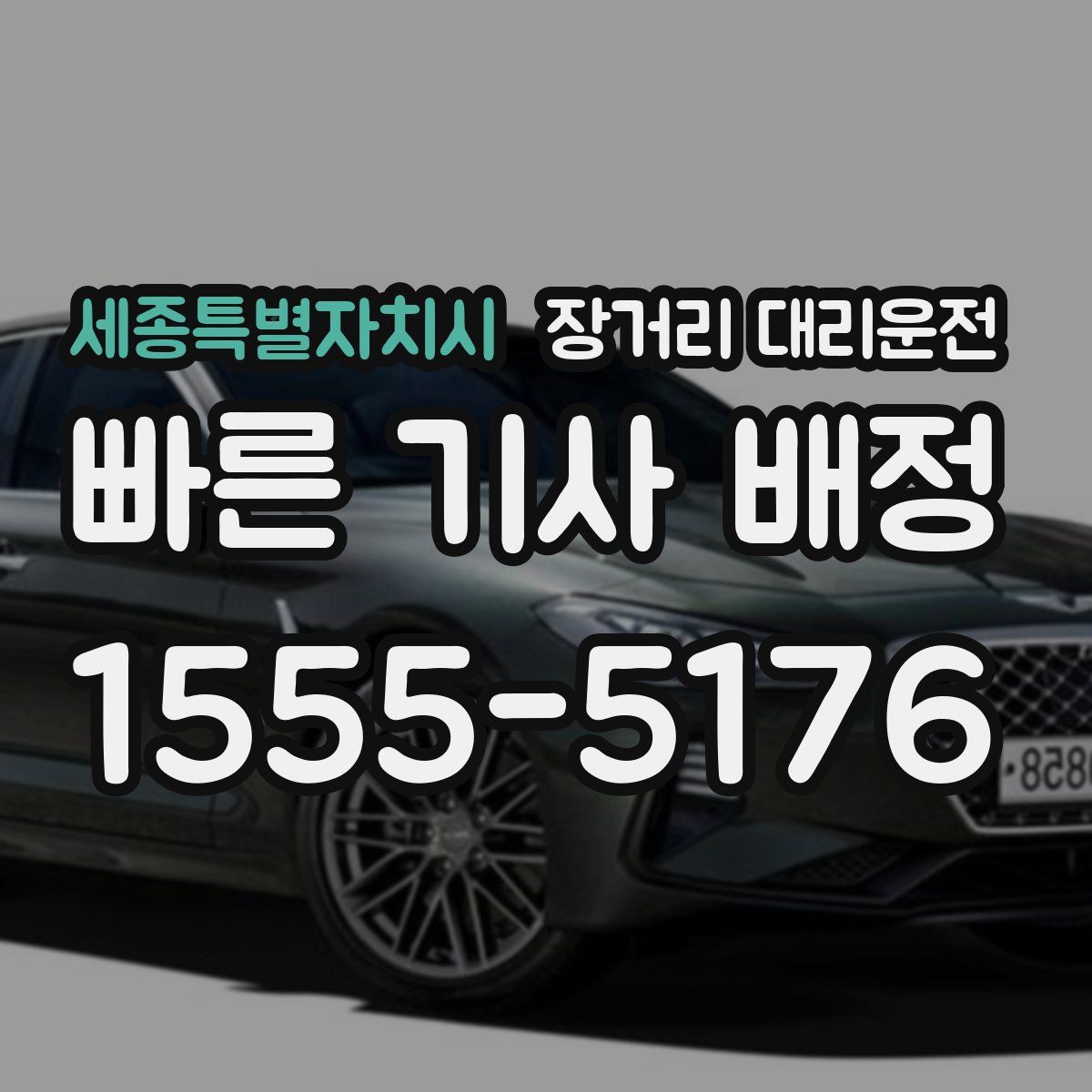 세종특별자치시 장거리 대리운전