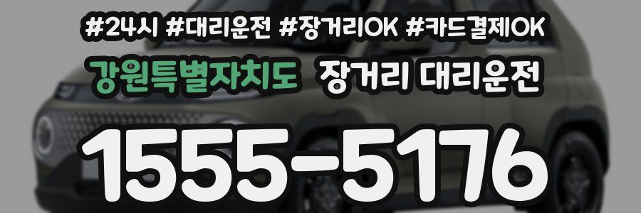 강원특별자치도 장거리 대리운전