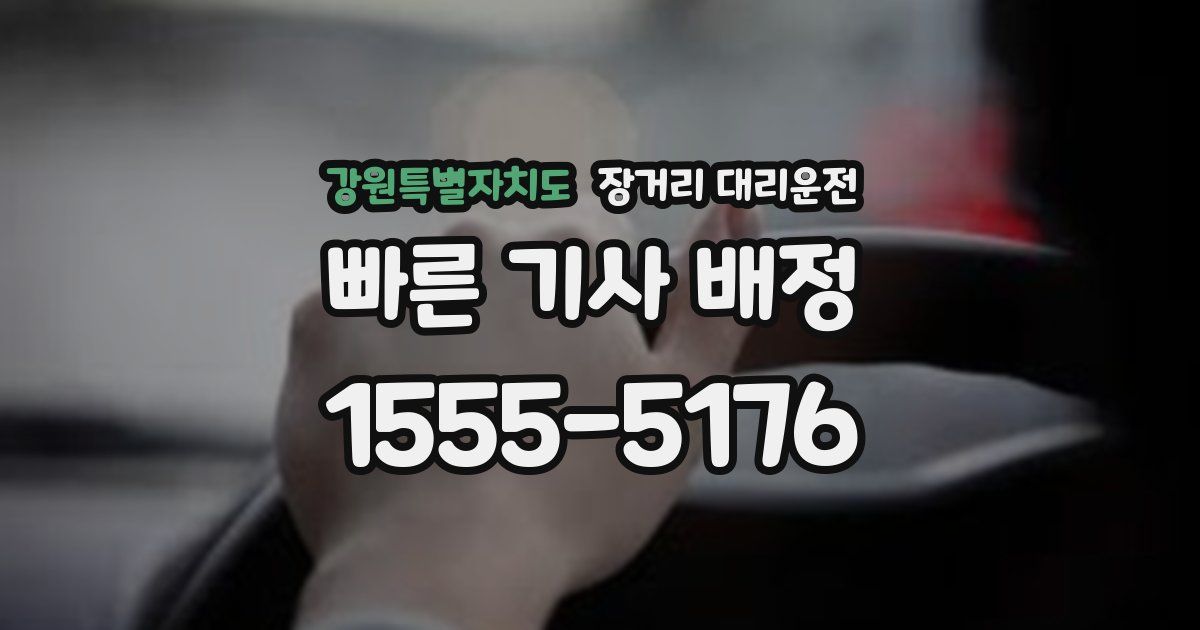 강원특별자치도 장거리 대리운전