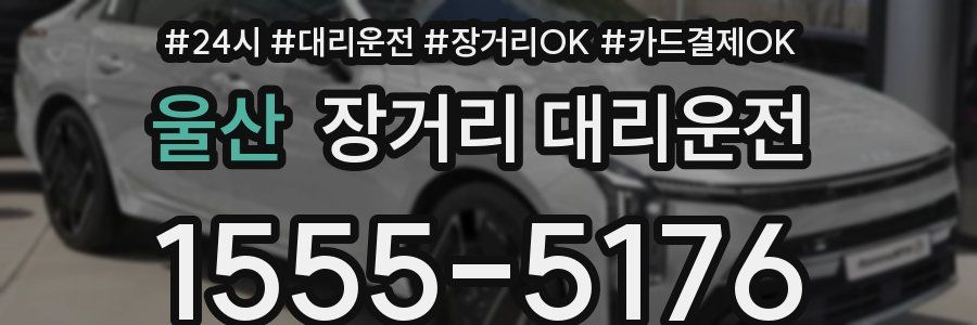 울산 장거리 대리운전