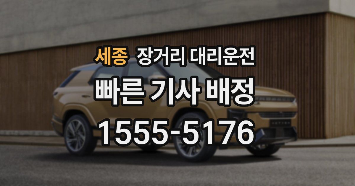 세종 장거리 대리운전