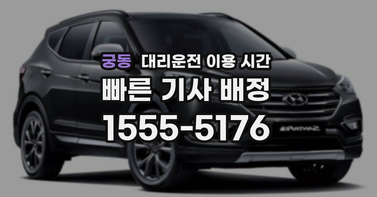 궁동 대리운전 이용 시간